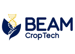 beam_300x218