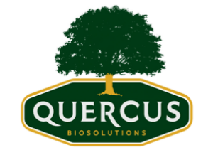 quercus_300x218